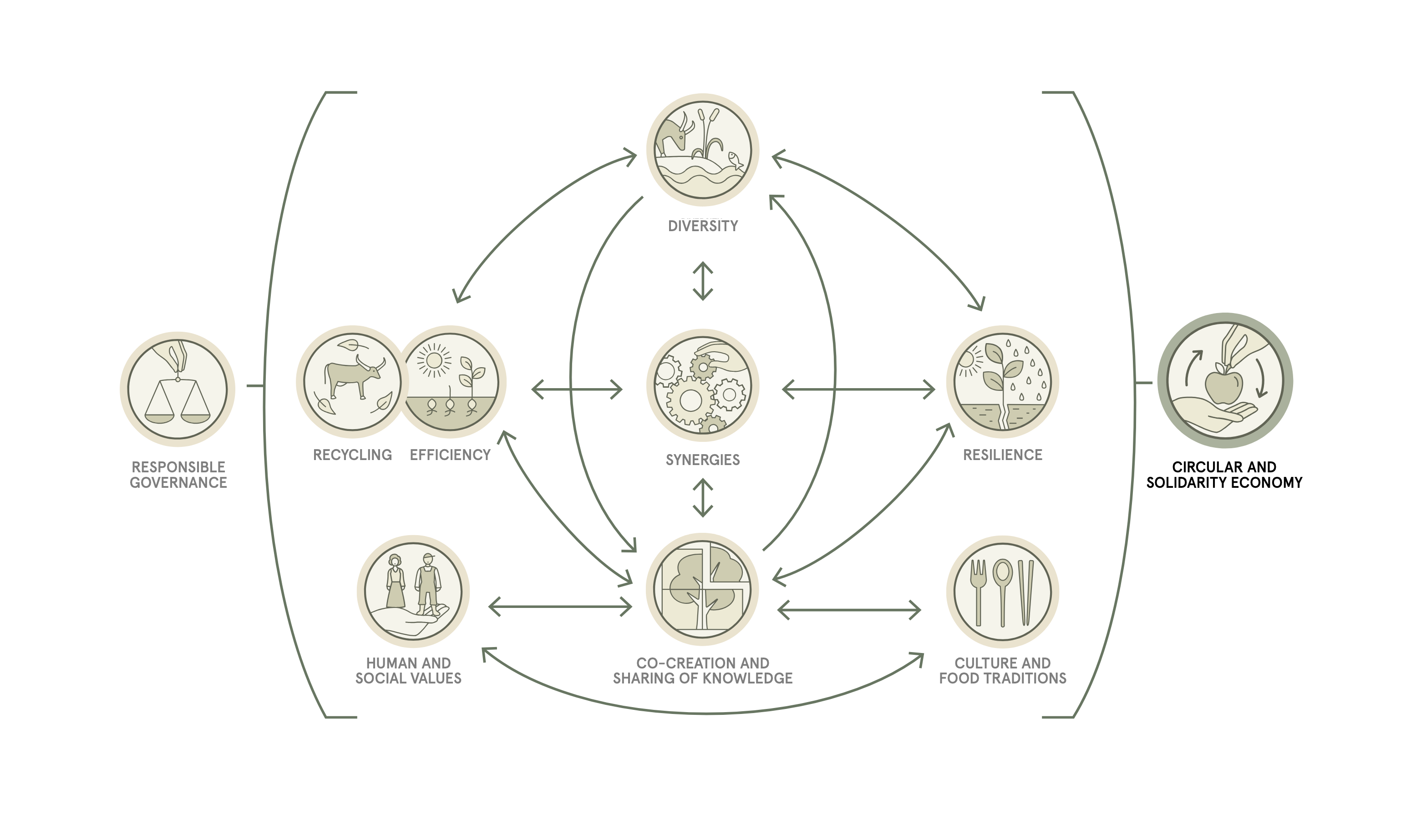 Case Study Image