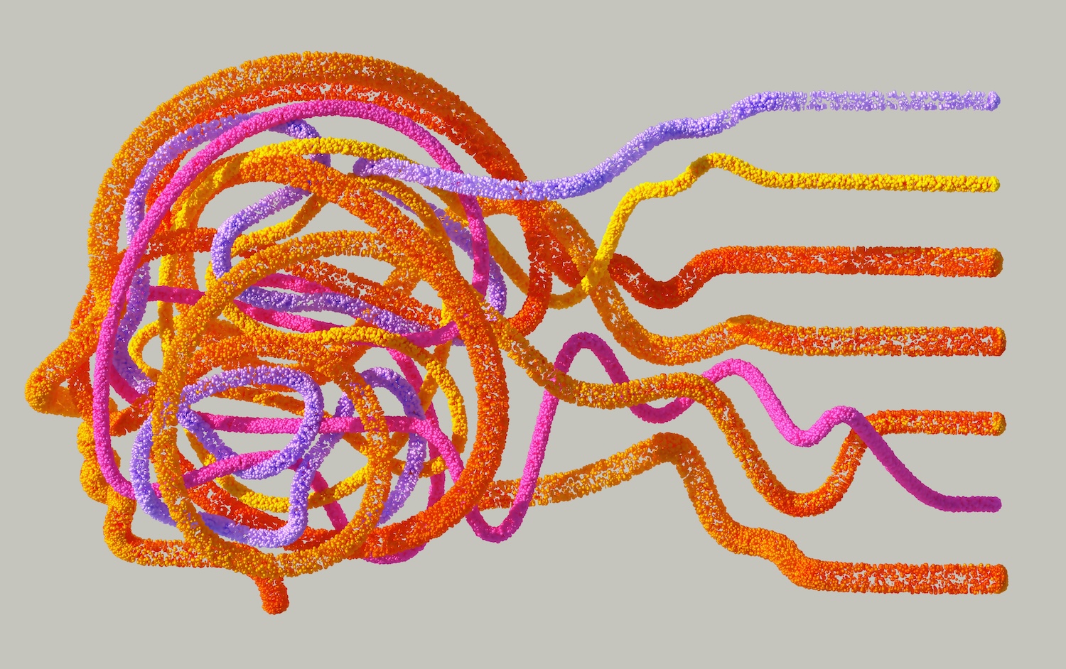 Case Study Image