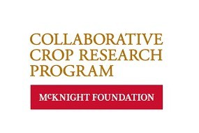 Collaborative Crop Research Program